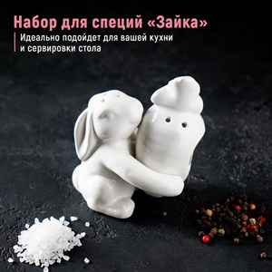 Набор для специй «Зайка», 2 предмета: солонка, перечница