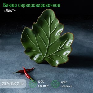 Блюдо сервировочное Доляна «Лист», 20,2×20×2,2 см Блюдо сервировочное Доляна «Лист», 20,2×20×2,2 см