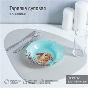 Тарелка суповая «Кролик», 300 мл, d=18,5 см